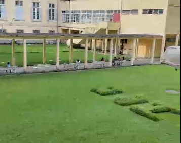 institulo benjamin constant